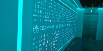 走進特斯聯(lián)，領略萬物互聯(lián)新時代